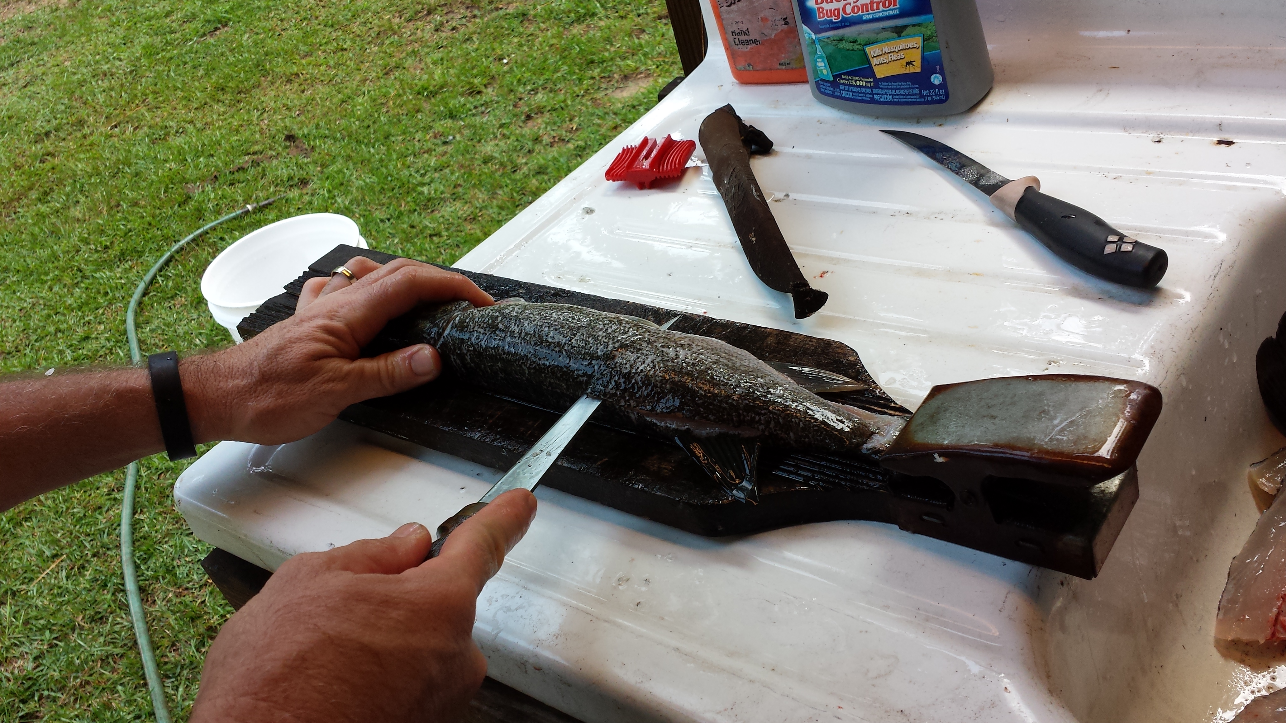 Cleaning a Jack Fish HollowMikes